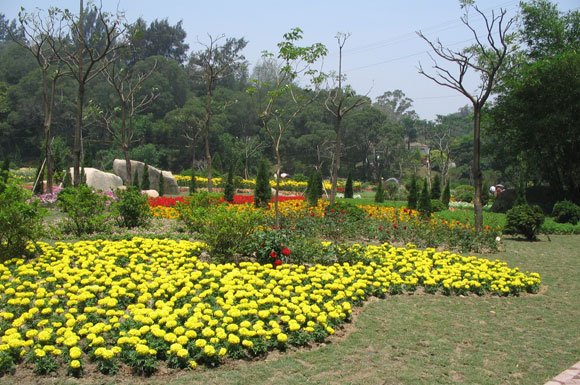 植物園草本花卉專類園項目環評表