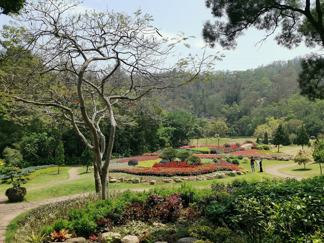 廈門園林植物園