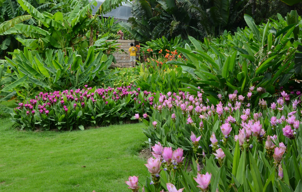 廈門園林植物園